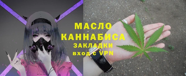 стаф Корсаков