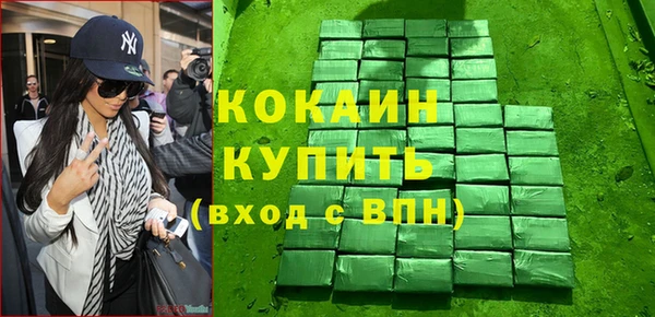 стаф Корсаков