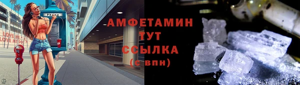 стаф Михайловск
