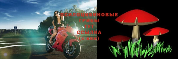 стаф Михайловск