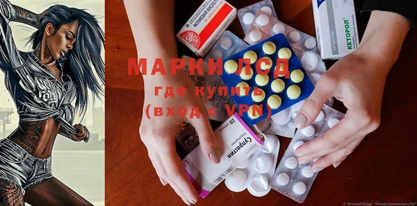 стаф Михайловск