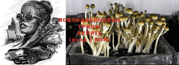 стаф Михайловск