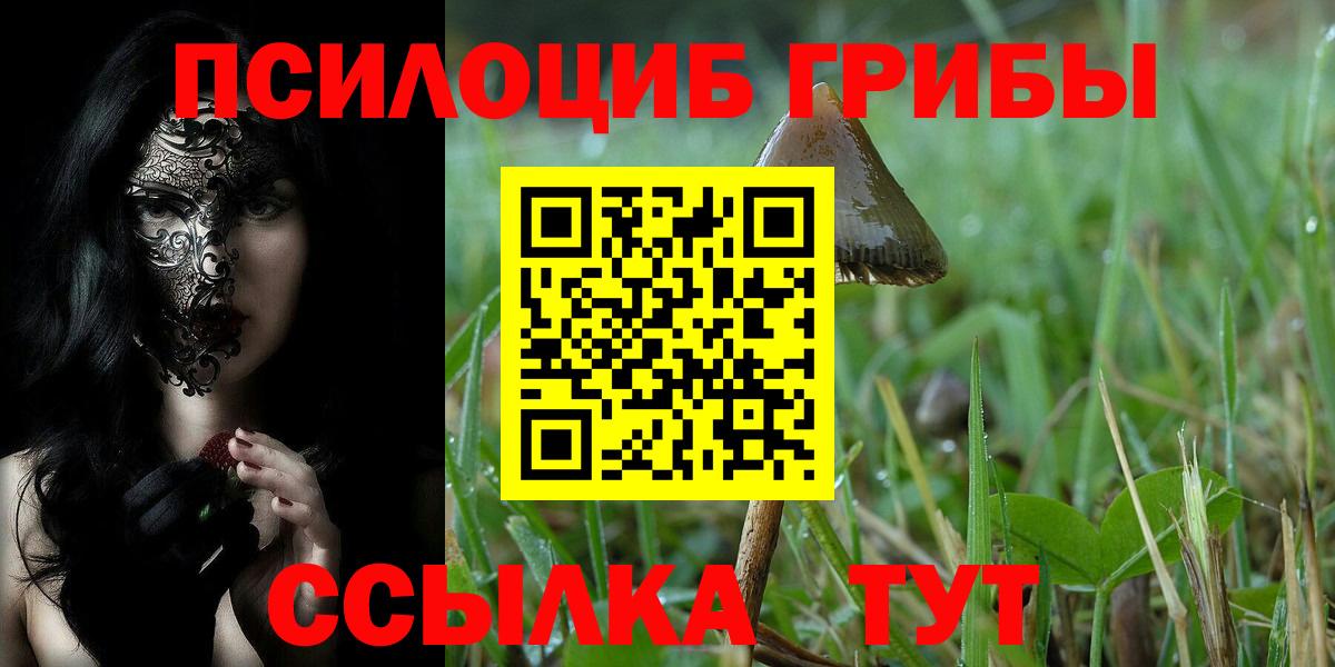 Шадринск  Псилоцибиновые грибы мухоморы  Вход с VPN 